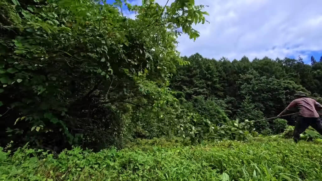 レーキを使ってひたすら作業