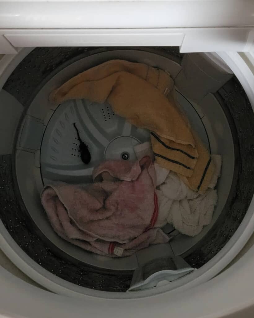 洗濯機の底にいたねずみ!?