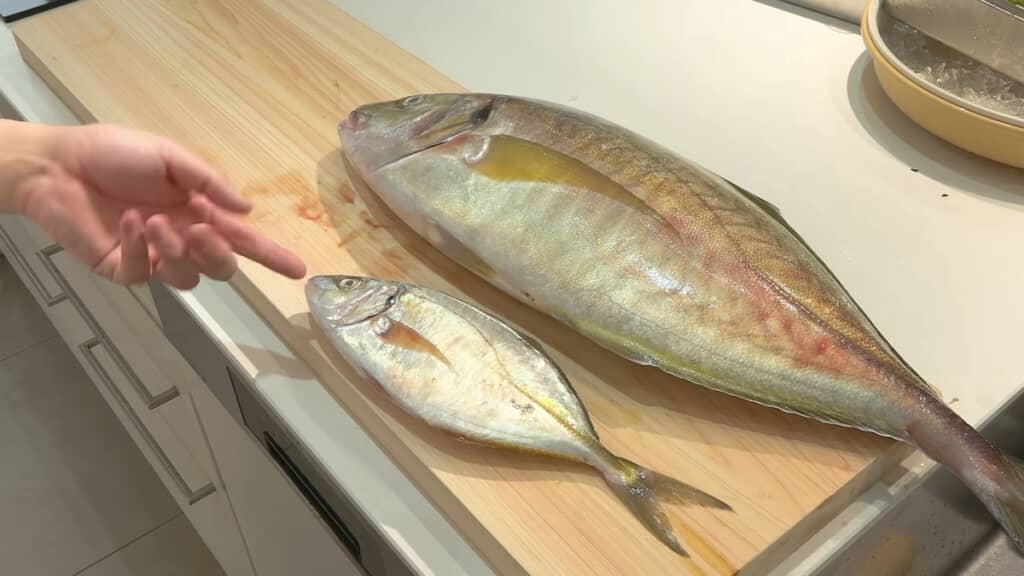 通常サイズと比べると10倍ほどの重量があります
