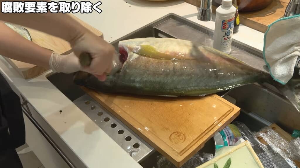 保存のため、内臓を取り出します