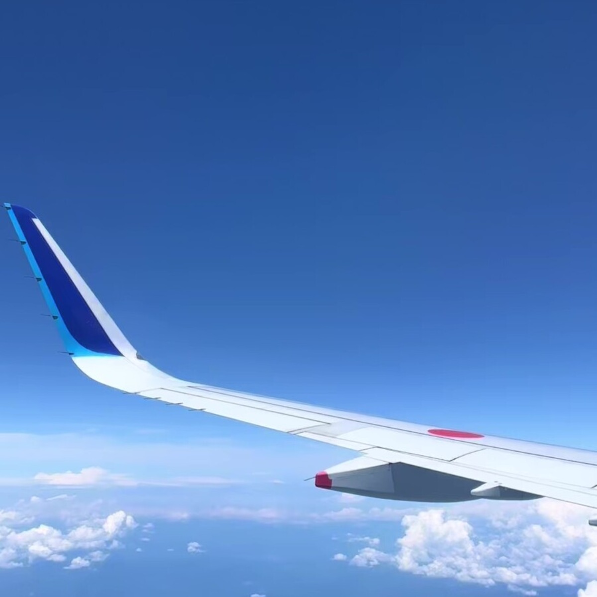 ANAの飛行機から景色を撮影していると……　一瞬の光景に「こんな経験してみたい！」「へ～珍しいなァ！」と100万再生（1/3） | 乗り物 ねとらぼ