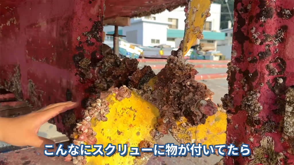 スクリューにも謎生物がびっちり付着しています