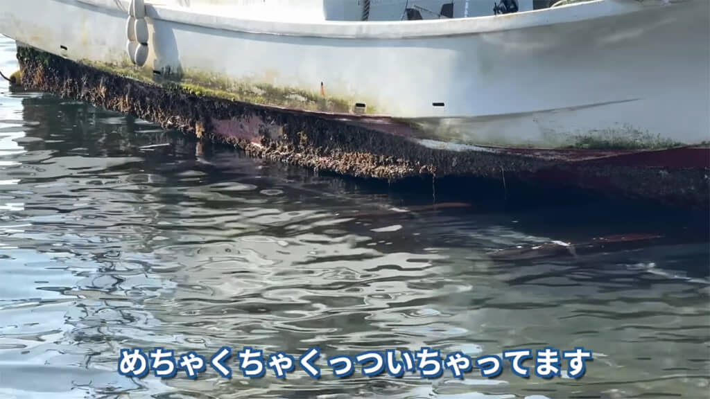 船底の謎生物を削り落としていきます