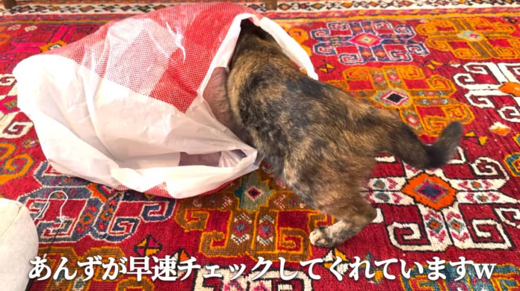 SNSで話題のアイテムをゲット