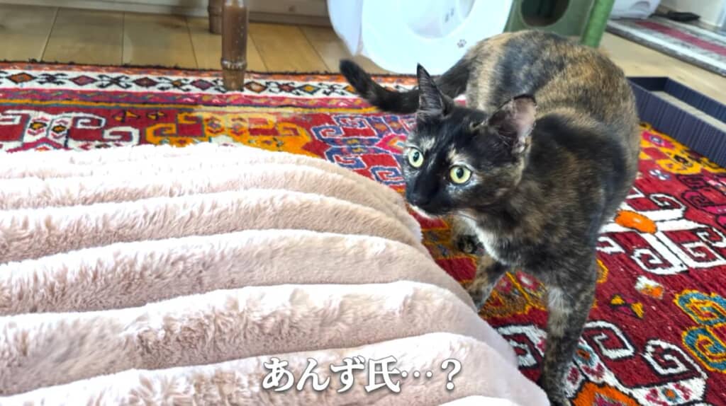 まさかの無反応？