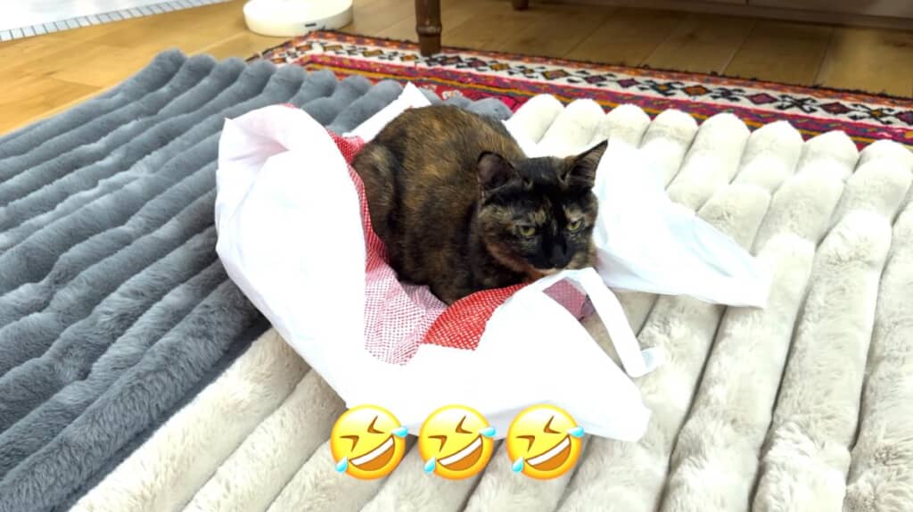 3枚揃っても不人気