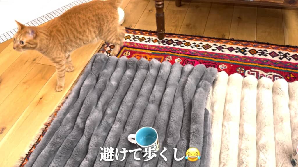 避けられてるwww