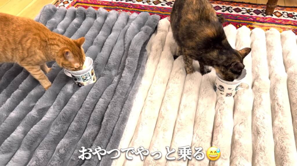 おやつは人気です