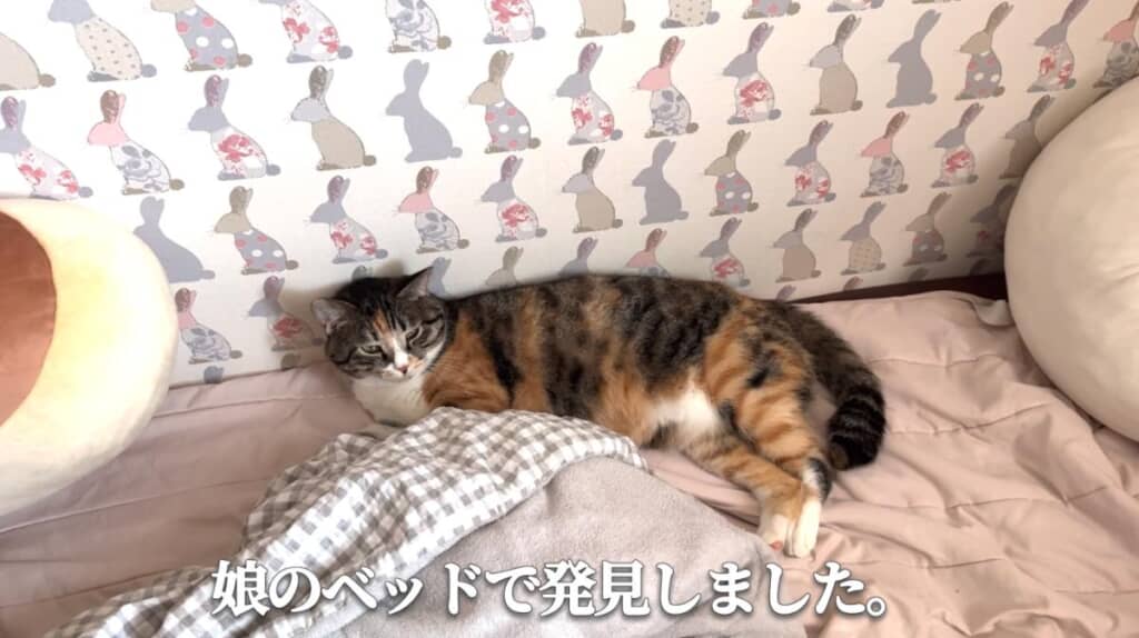 娘ちゃんのベッドのほうが安心かな？
