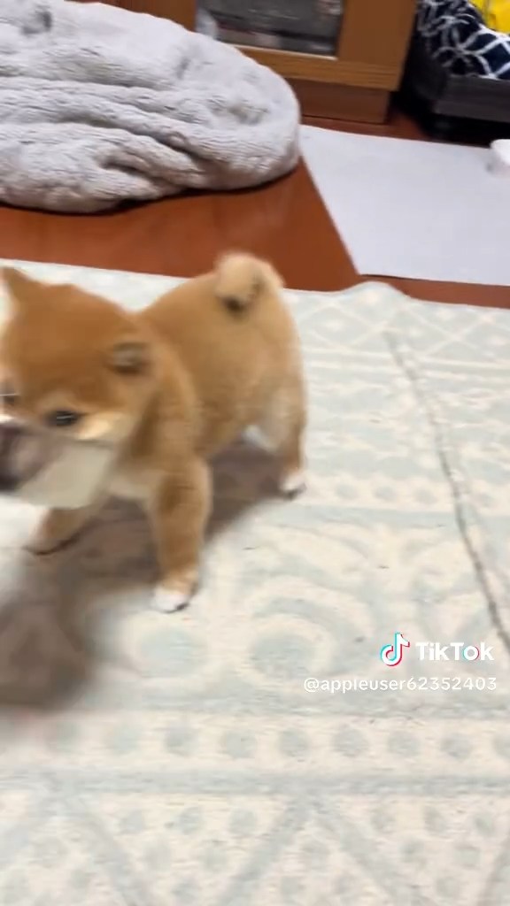 でも、ちょっと前が見えなかったみたい