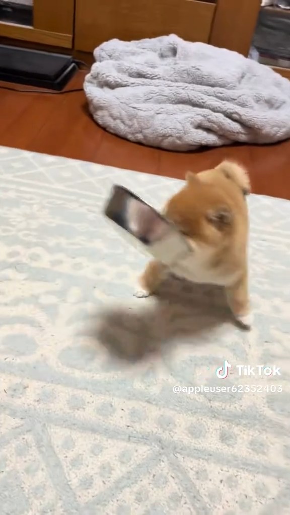 おっとっと