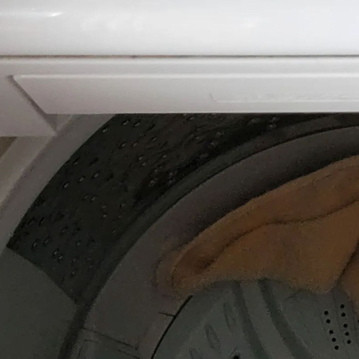 義母の服を洗ったあと、洗濯機を見たら…… 「腰抜かしかけました」目を疑う光景に「そんなことあるの!?」と547万表示 | ライフスタイル ねとらぼ