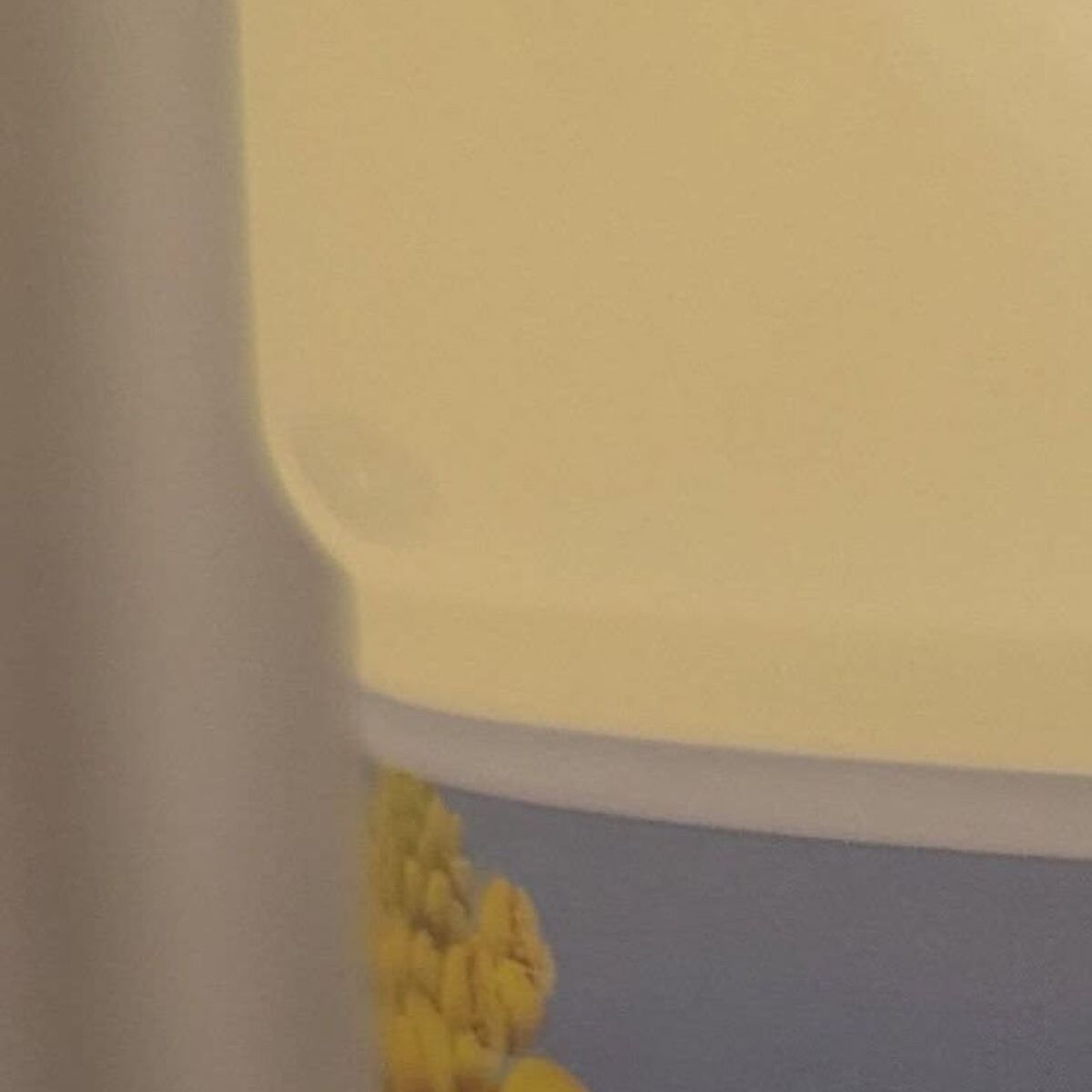 夫に「サラダ油買ってきて」とお願い→「全然売ってない!!」と代わりに買ってきたのは……「結果オーライ」「大正解だよ」 | ライフスタイル ねとらぼ