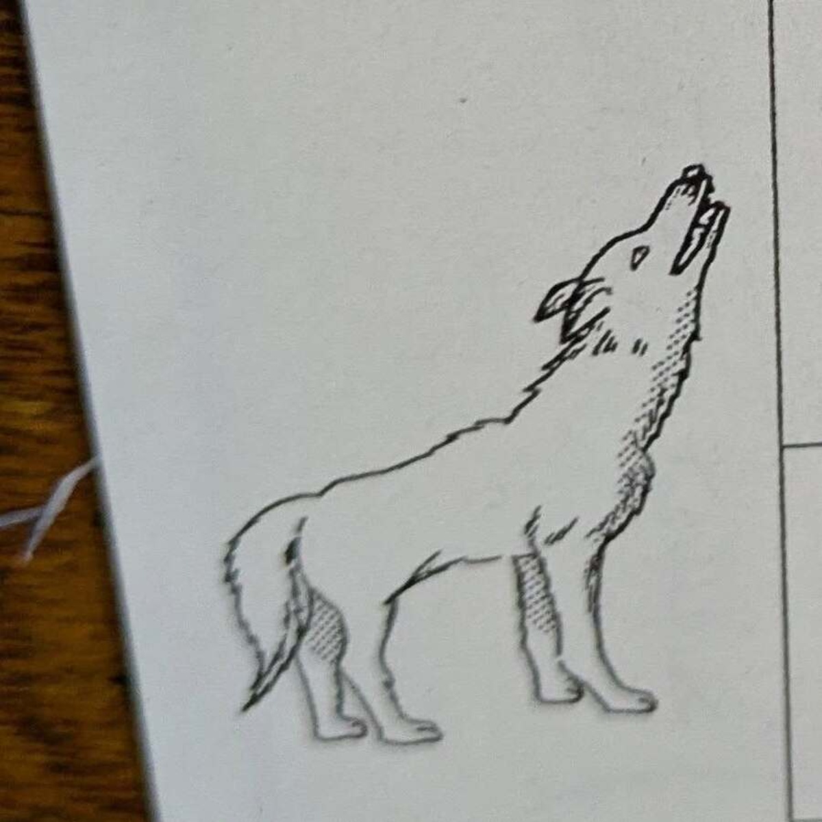 「絵の名前のひらがなで書きましょう」→小1娘の答えは…… ママも爆笑の“まさかの解答”に「AIには不可能な発想」「丸あげちゃう」(1/3) | 教育・子育て ねとらぼ