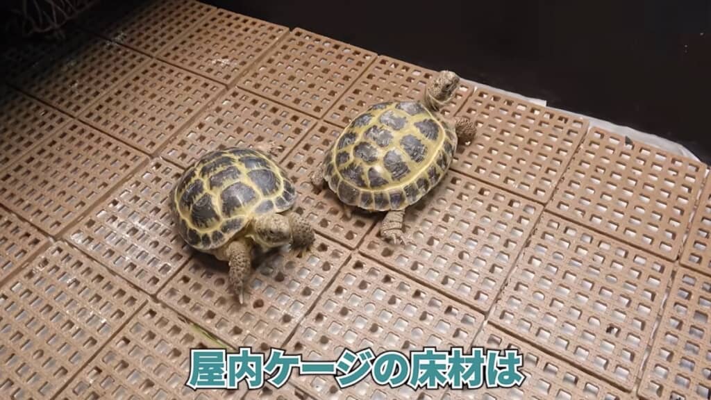 床材をジョイントマットに