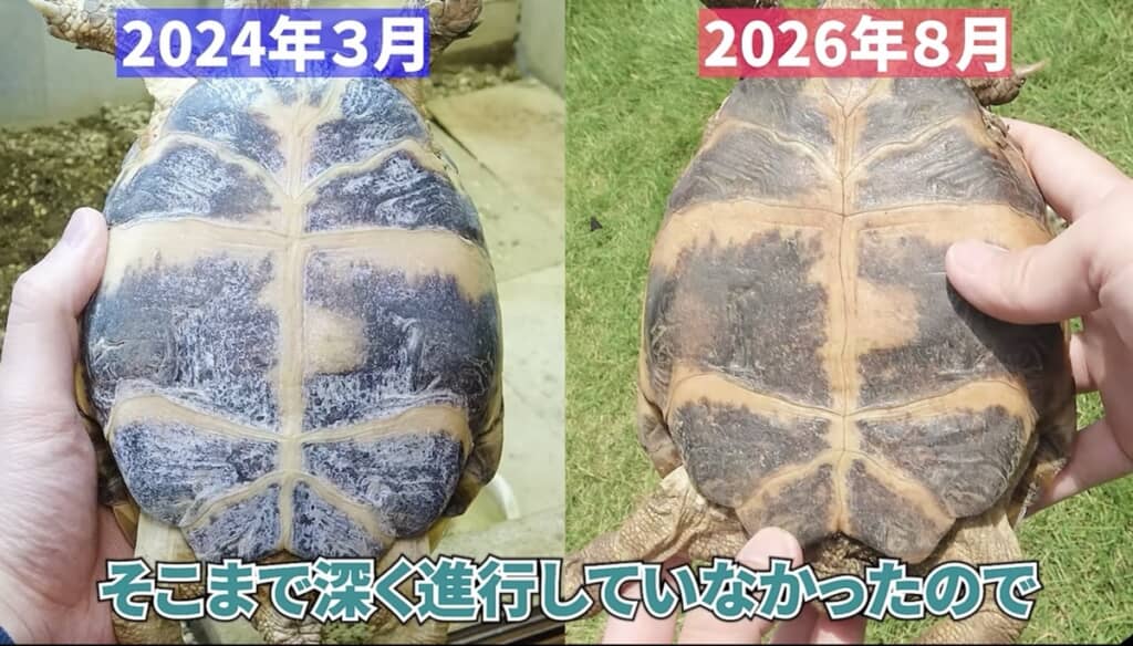 白いところがなくなりました！