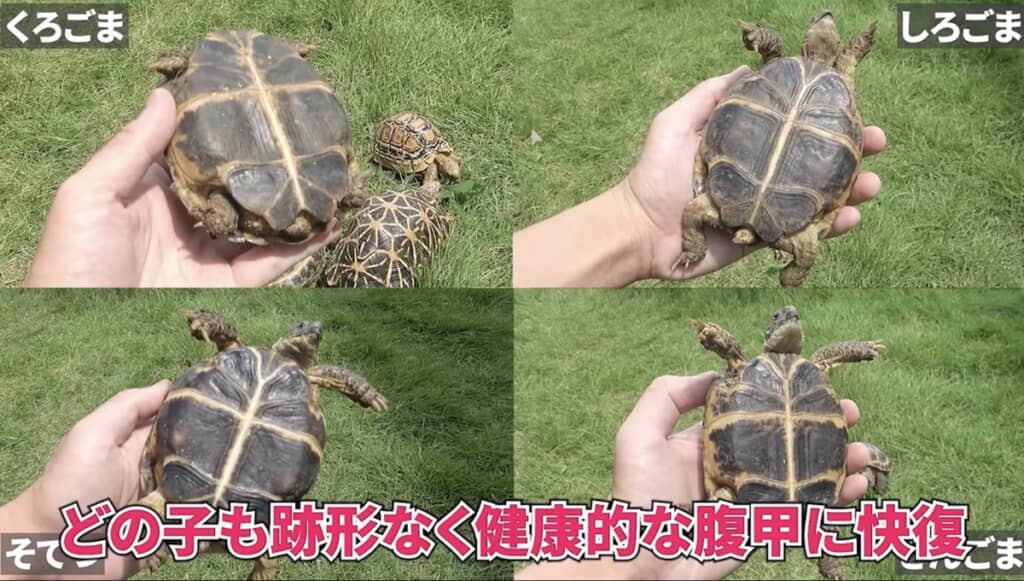 きれいに快復