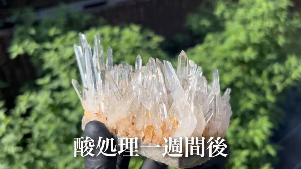 一週間かけて酸で処理することにより透明度がグンとアップした水晶クラスター