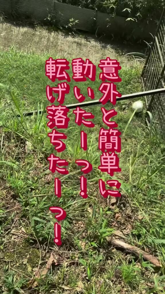 斜面を転がり落ちていく白い物体