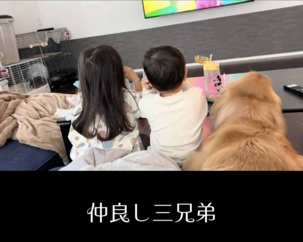 まるで3きょうだいのように仲良しな子どもたちとライトくん