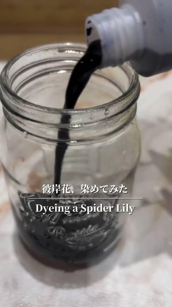 彼岸花を青色にできる？