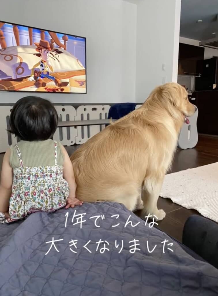 1年後には、こんなに立派に成長！