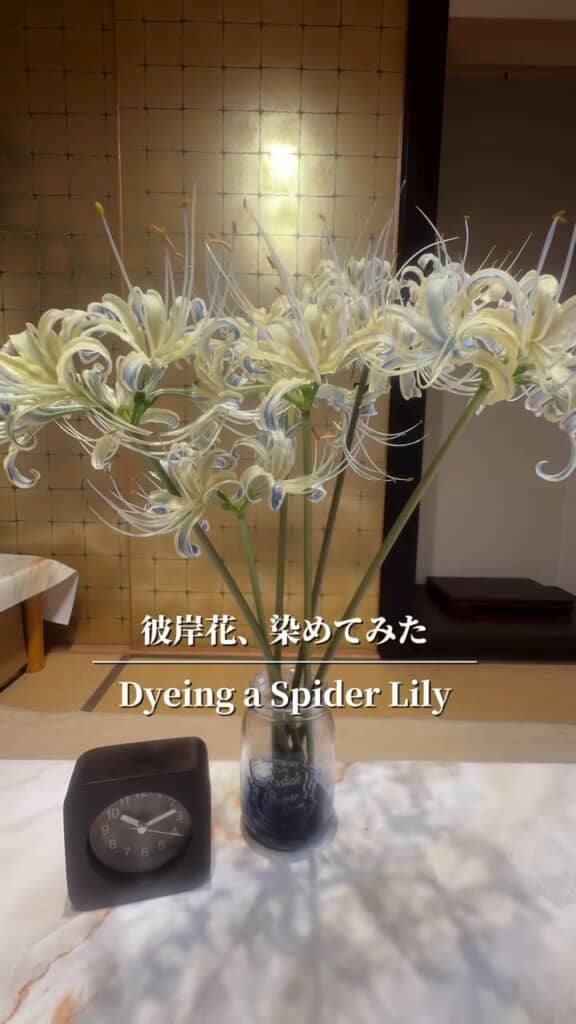 徐々に青色が広がっていく