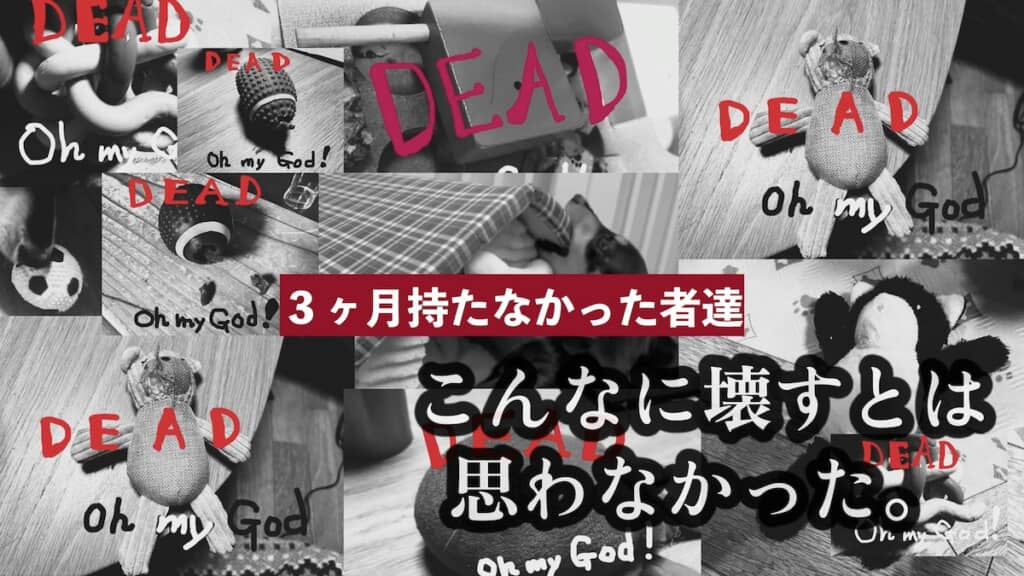 数多くのグッズが3カ月もたずに壊されてしまいました