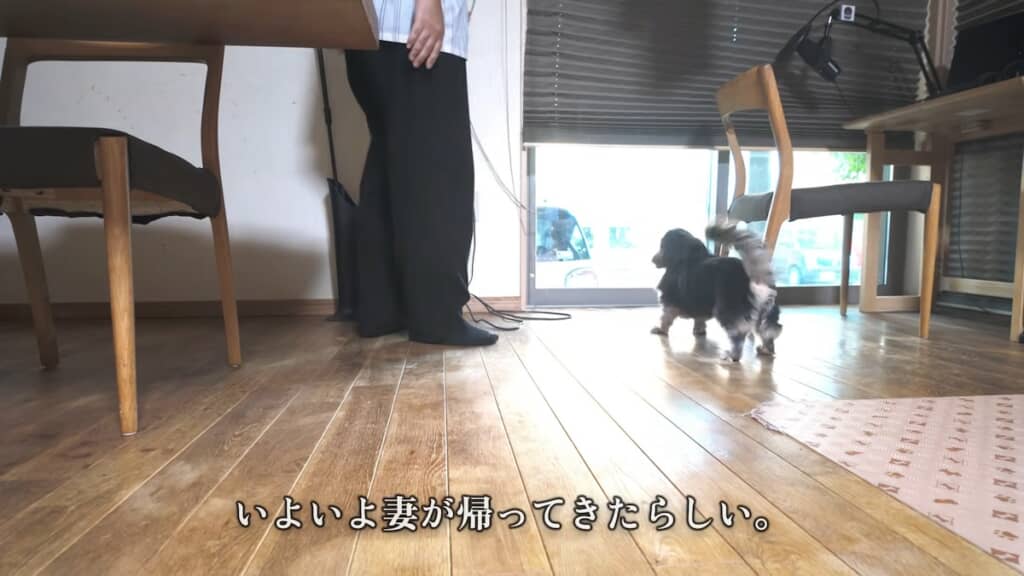 窓際で家族の帰りを待ち構えます