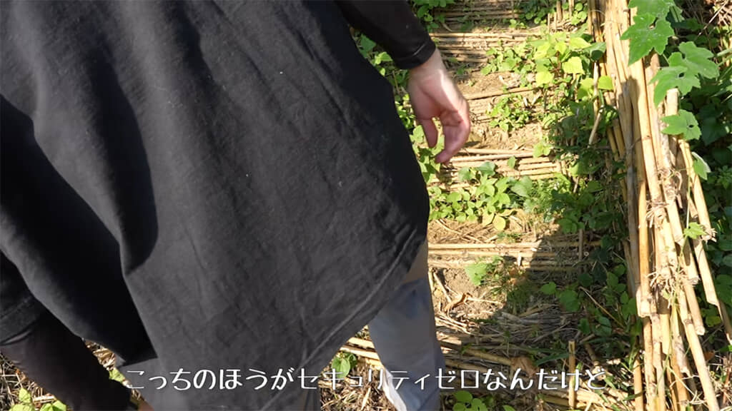 山に置いてあるものたちは無事でした