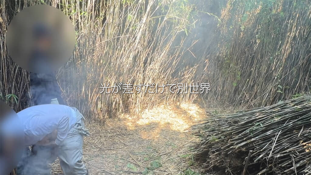 開拓が進むと、光がさすようになってきました