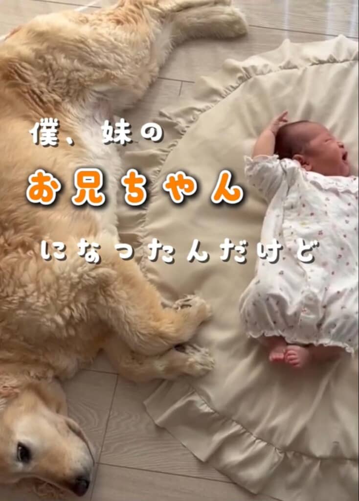 妹ちゃんの子守り中