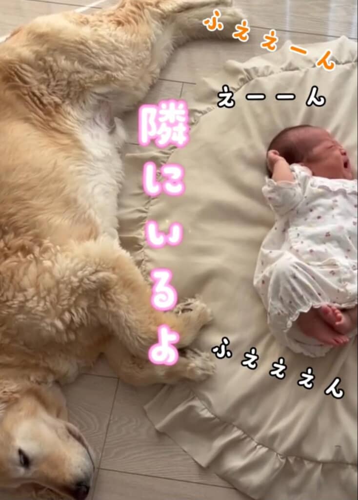 泣いちゃった