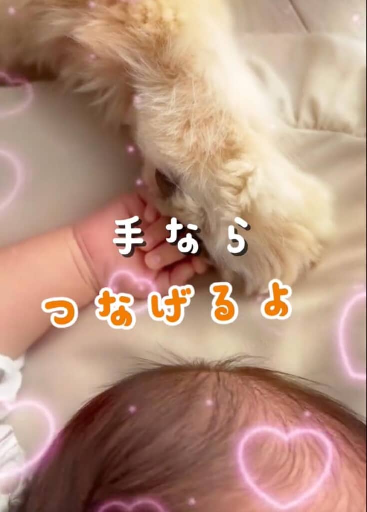 手はつなげるよ