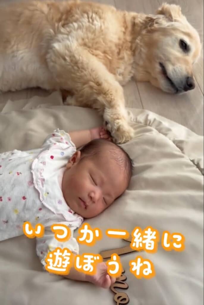 安心した様子の妹ちゃん