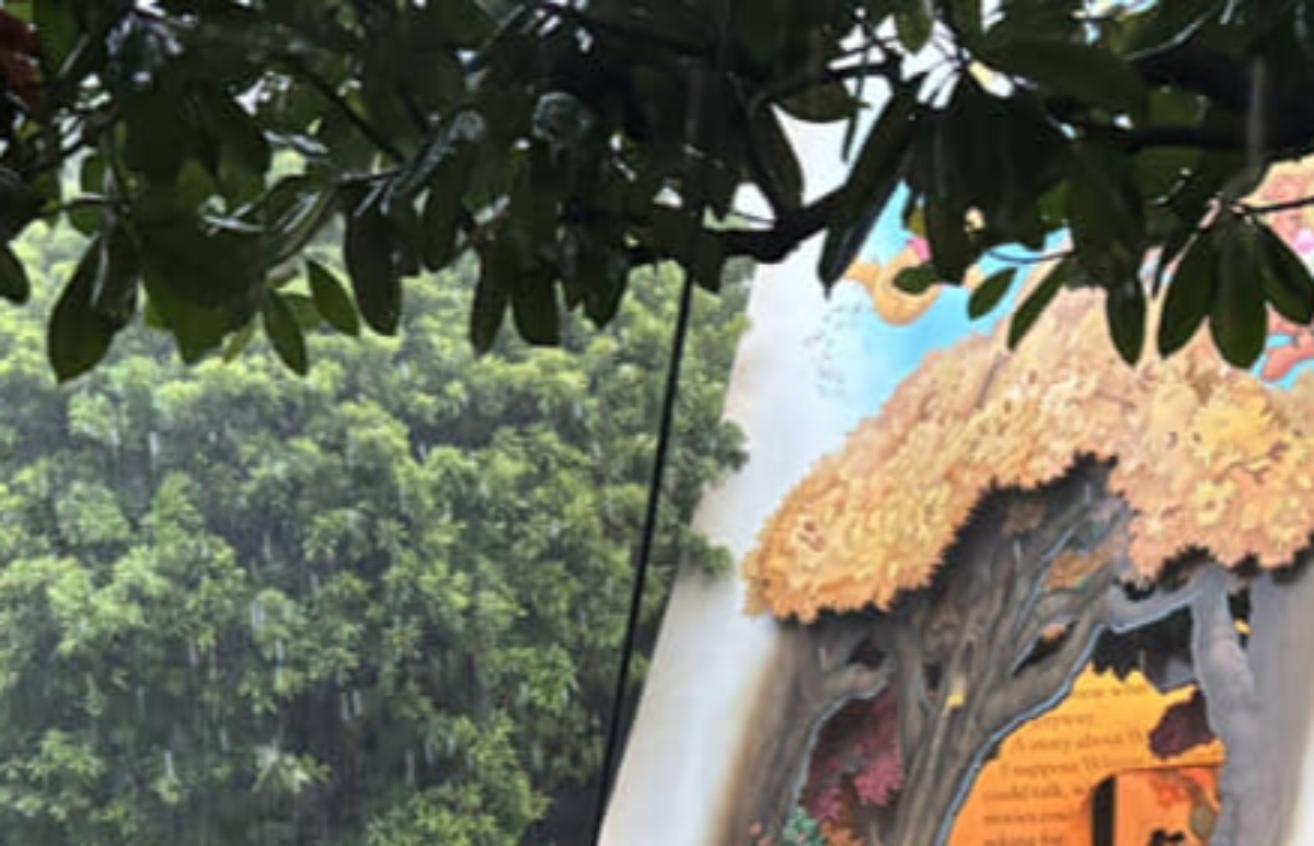 記録的豪雨の日にディズニーへ→アトラクションに並んだら……　目を疑う光景が102万表示「ヤバ」「勇者すぎるだろ」（1/3） | ディズニー ねとらぼ