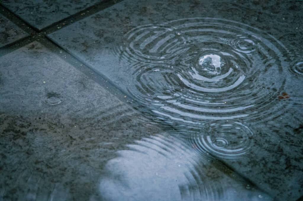 雨の中、歩いていると……