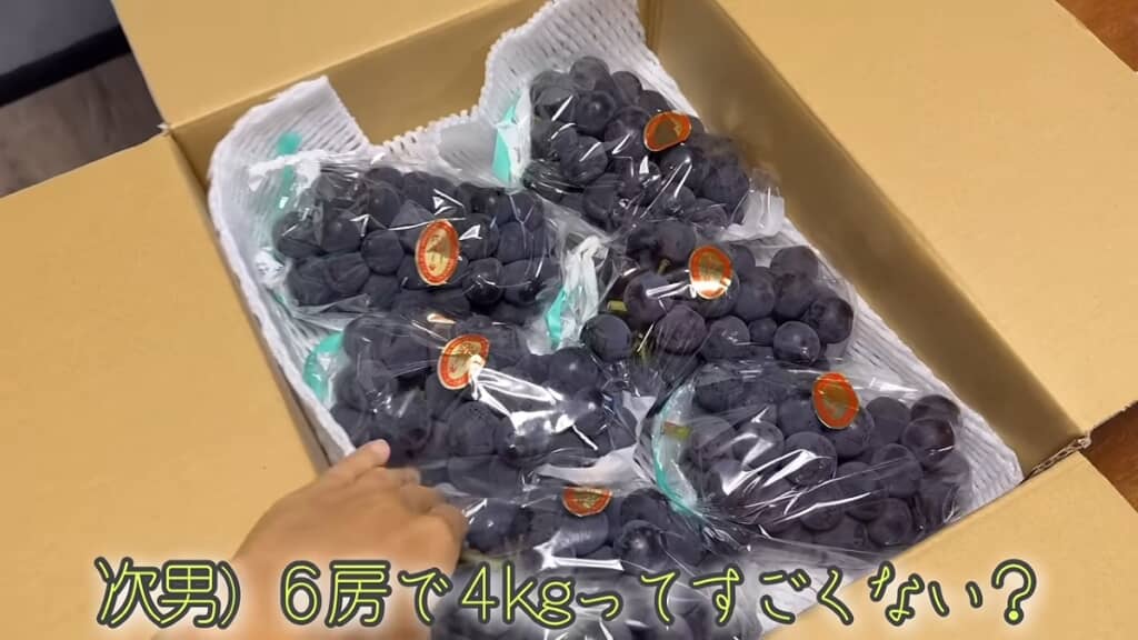 “訳あり”のニューピオーネ4キロ！