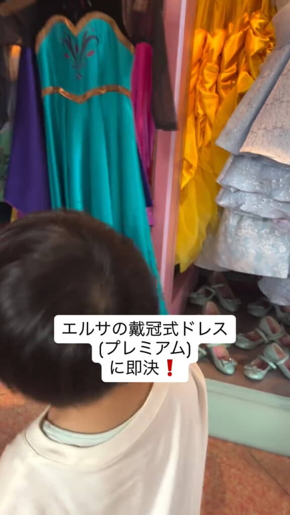 エルサのドレスに即決!