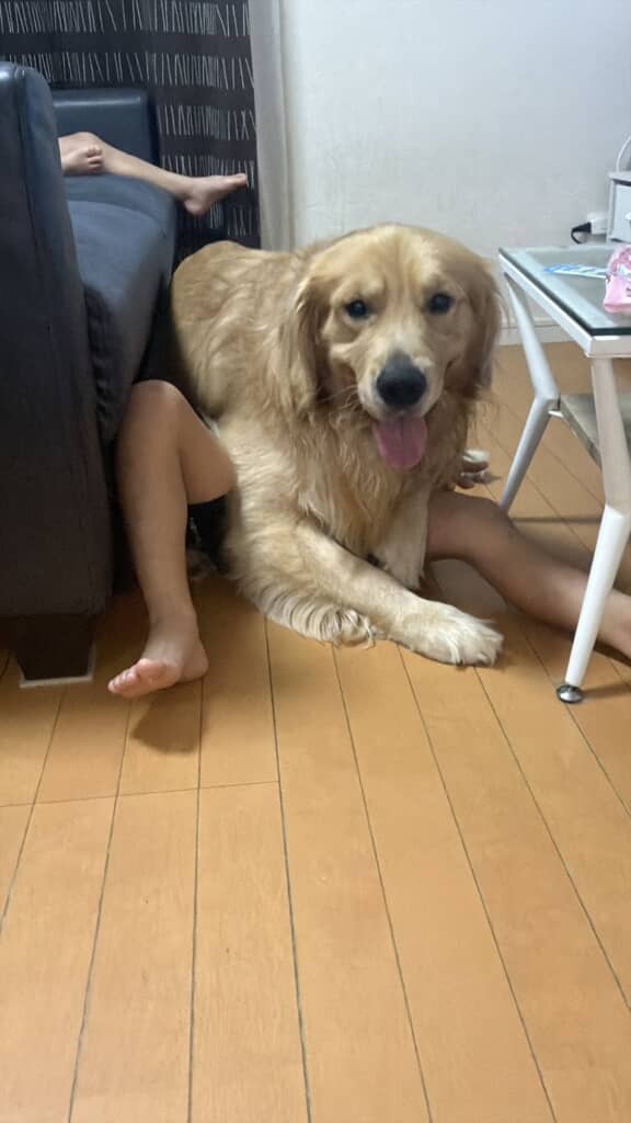 どんな守り方!?