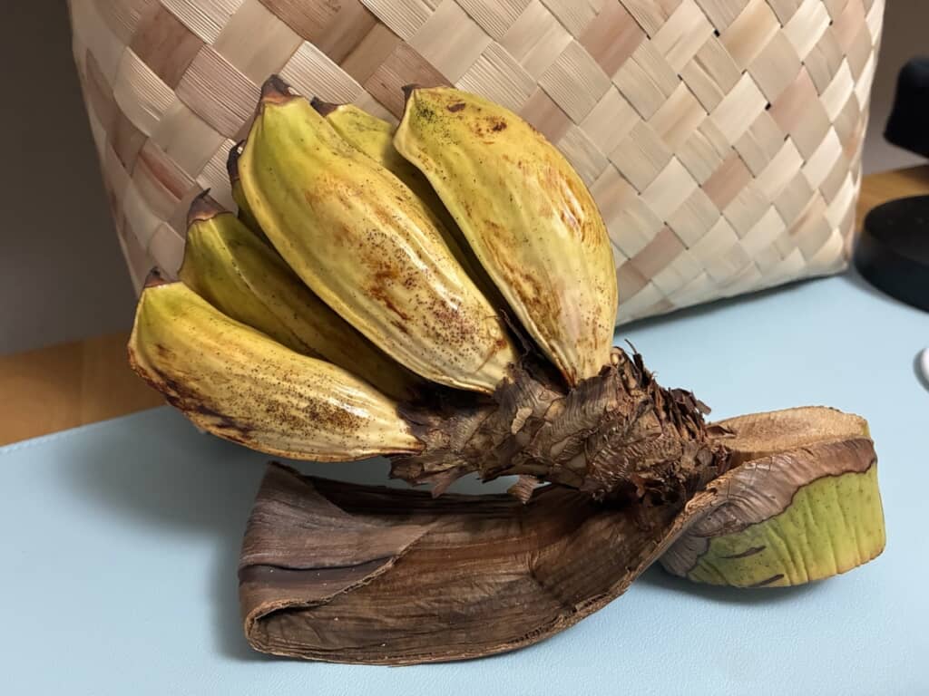 石垣島で購入したのは……？
