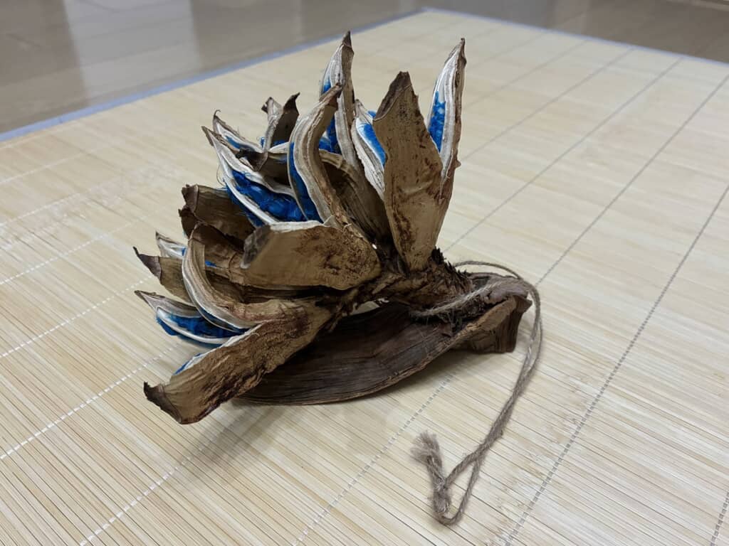 35日目のしっかりと開いた果実