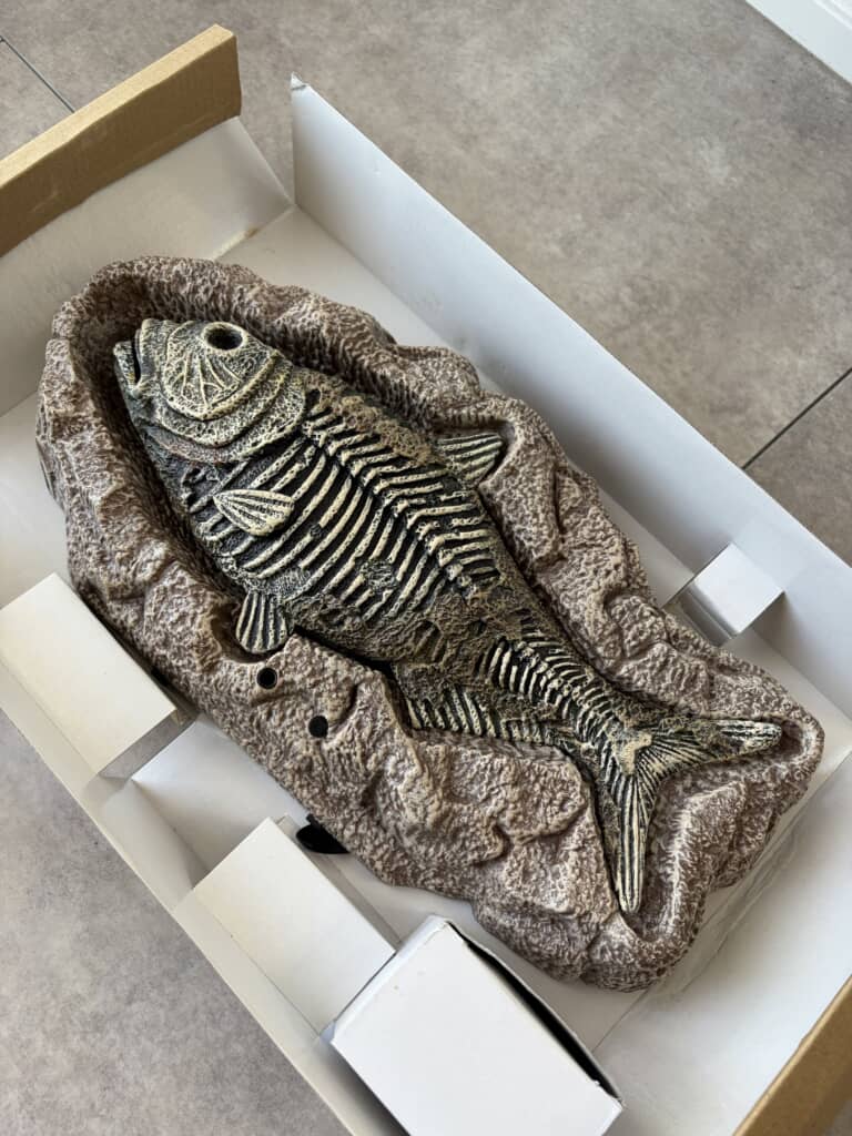 中身はまんま古代魚の化石
