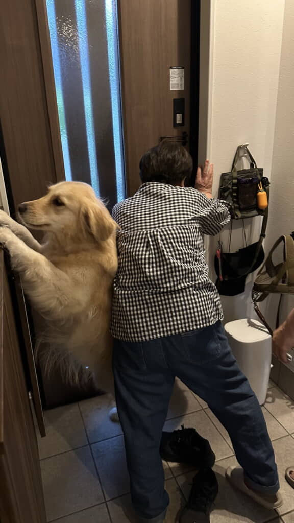 どちらも引けません