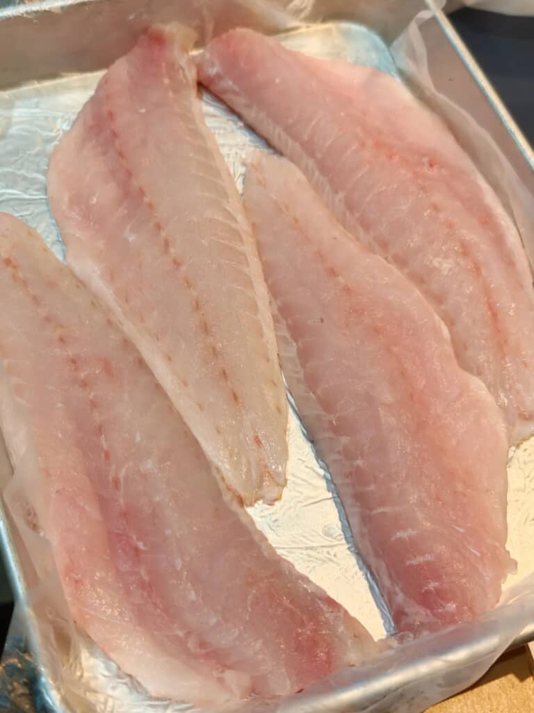 新たに2匹購入