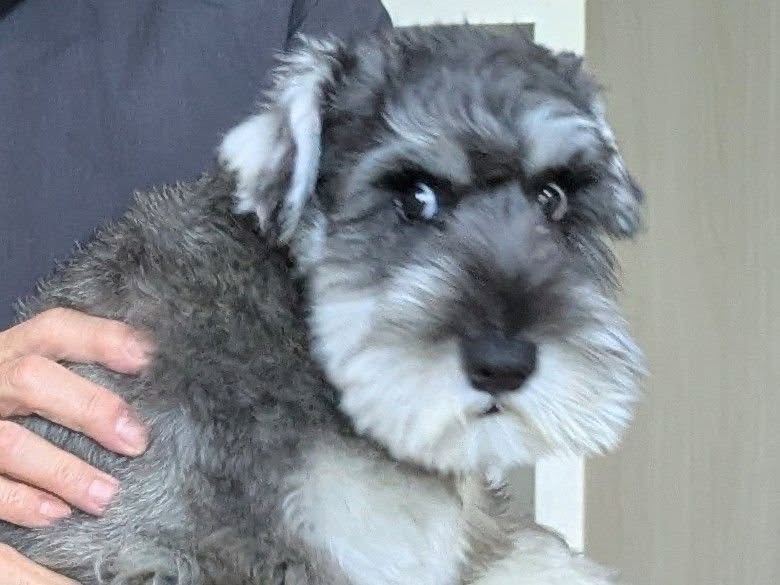 まん丸な目もキュート