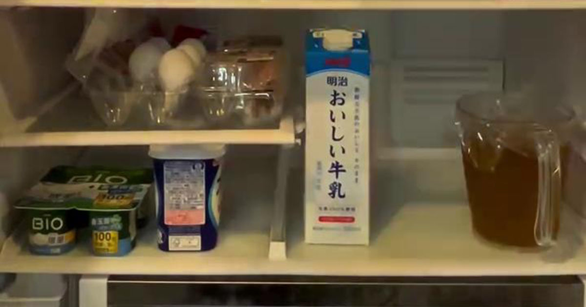 自宅の“2020年製の冷蔵庫”→開けたら…… 目を疑う光景に「早く閉めてあげないと!」「コーヒー吹き出すとこでした」(1/3) | 家電・PC・カメラ ねとらぼ