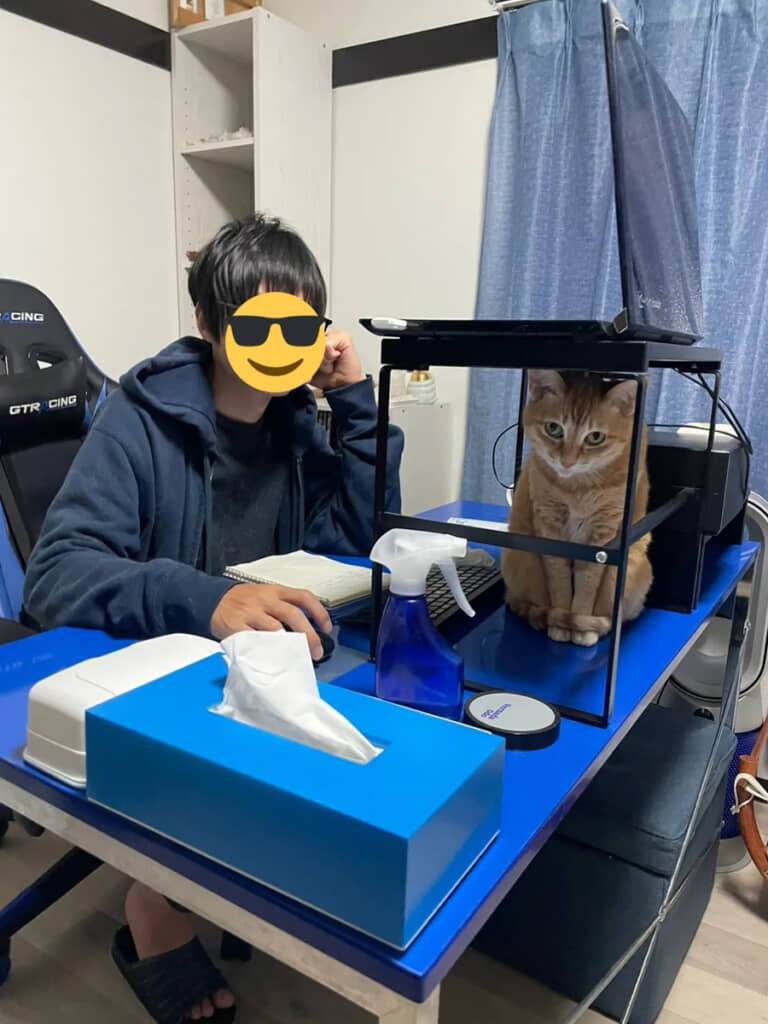PCが高いからネコちゃんが来るのか、ネコちゃんが来るからPCが高いのか……?