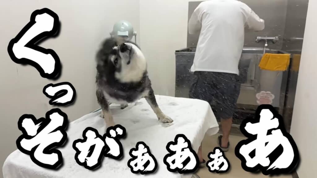 怒りのトルネード