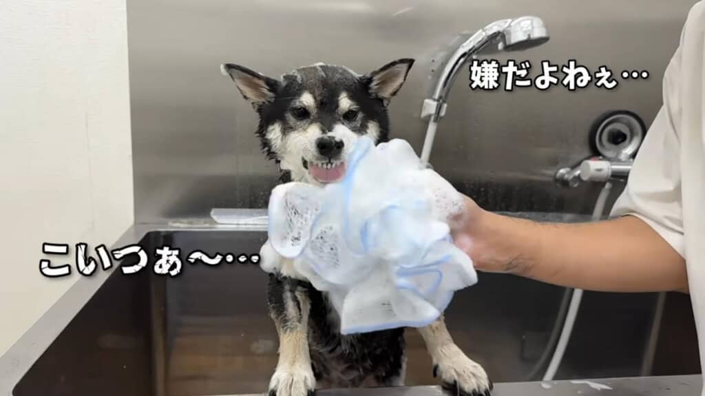 完全に激おこ！